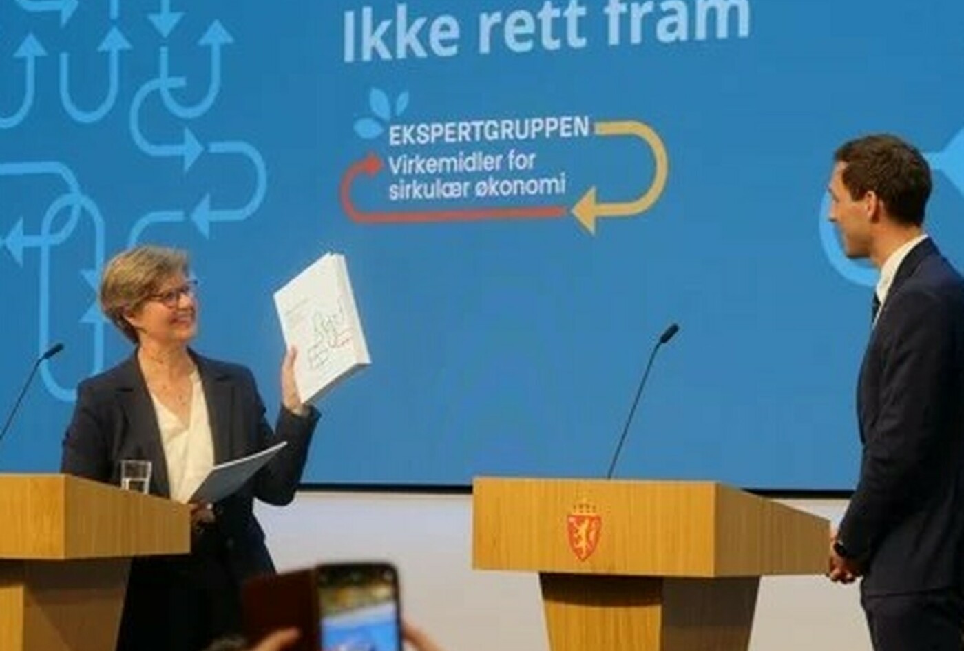 ekspertutvalg